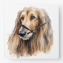 MOOIE FAWN GEKLEURDE AFGHAN HOUND DOG