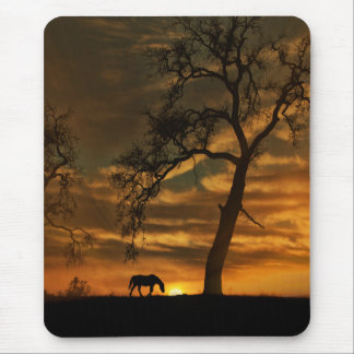 Mooie fijne kunst fotografie Mousepad Muismat