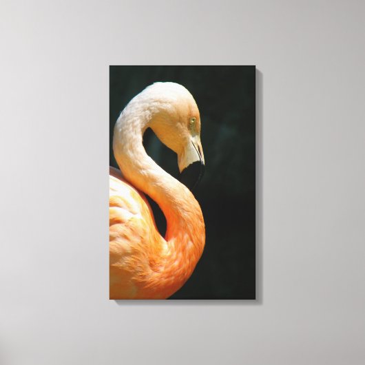 Mooie Flamingo gewikkeld canvas! Canvas Afdruk (Voorkant)