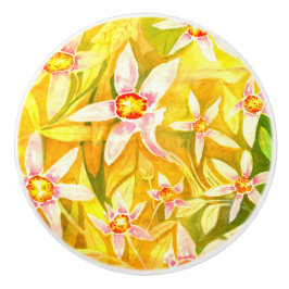 Mooie Florence Waterverf keramische deurknop Keramische Knop