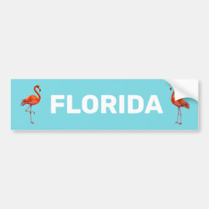 Mooie Florida Flamingos op Light Blue Bumpersticker
