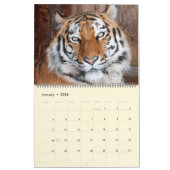 Mooie foto-kalender voor grote katten kalender (Jan 2026)