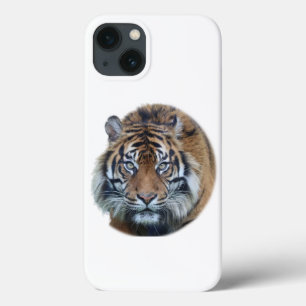 Mooie foto van Bengal Tiger Face iPhone 13 Hoesje