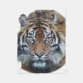 Mooie foto van Bengal Tiger Face Fleece Deken (Voorkant)
