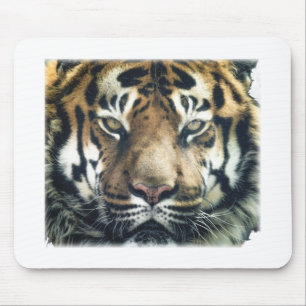 Mooie foto van Bengal Tiger Face Muismat