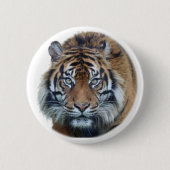Mooie foto van Bengal Tiger Face Ronde Button 5,7 Cm (Voorkant)