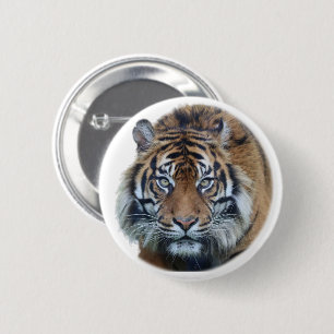 Mooie foto van Bengal Tiger Face Ronde Button 5,7 Cm