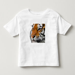 Mooie foto van de kop van een Bengaalse tijger Kinder Shirts