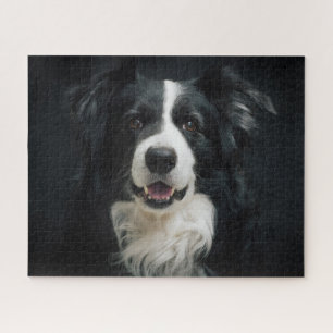 Mooie foto van een zwart-witte Border Collie hond Legpuzzel