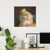 Mooie foto van Maine Coon Cat Preening Poster (Thuiskantoor)