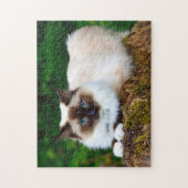 Mooie foto van Siamese kat Legpuzzel (Verticaal)