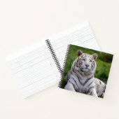 Mooie foto van White Tiger Notitieboek (Binnen)