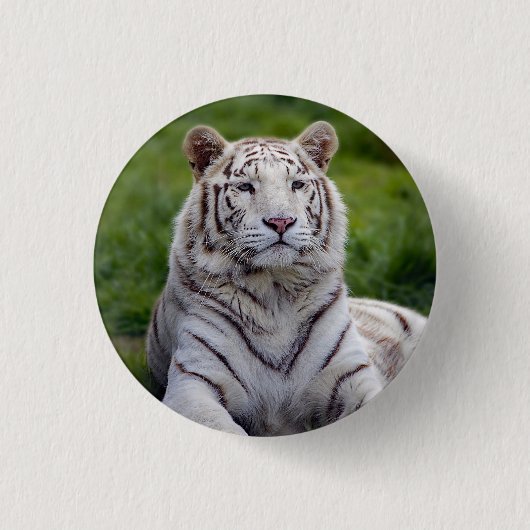 Mooie foto van White Tiger Ronde Button 3,2 Cm (Voorkant)