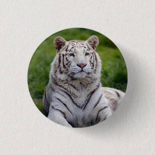 Mooie foto van White Tiger Ronde Button 3,2 Cm