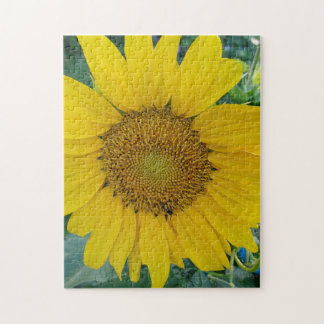 Mooie foto zonnebloem legpuzzel