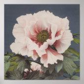 Mooie fotomechanische prints van Peony Flowers (Voorkant)