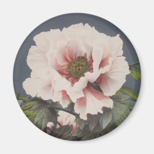 Mooie fotomechanische prints van Peony Flowers Magneet