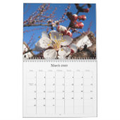 Mooie foto's kalender (Mar 2026)