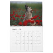 Mooie foto's van honden kalender (Feb 2026)