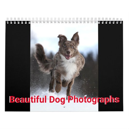 Mooie foto's van honden kalender (Hoes)