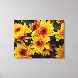 Mooie Gele Bloemen Achtergrond Canvas Afdruk
