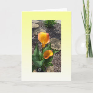 Mooie gele bloemen blanco kaart