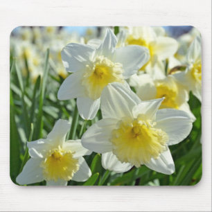 Mooie gele en witte gele narcissentuin muismat