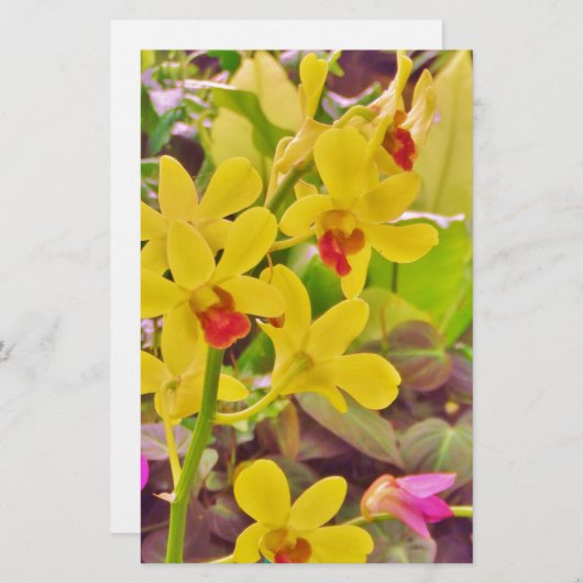 Mooie gele herfstorchideeën briefpapier (Voorkant / Achterkant)