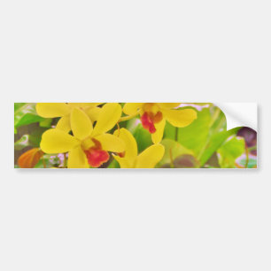 Mooie gele herfstorchideeën bumpersticker