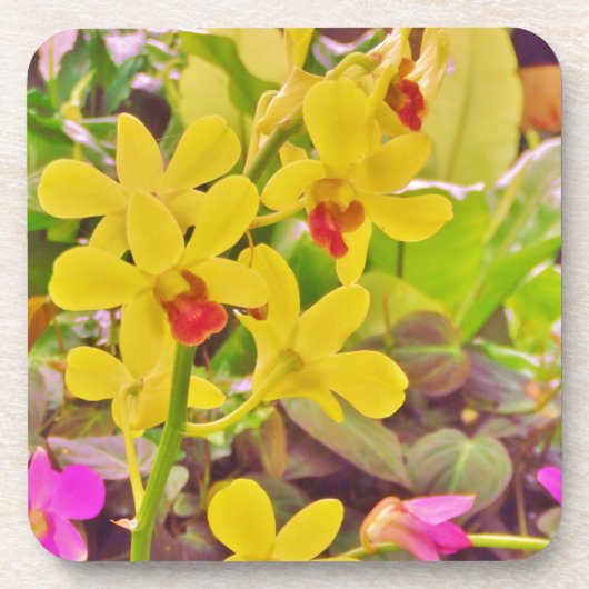 Mooie gele herfstorchideeën drankjes onderzetter (Voorkant)