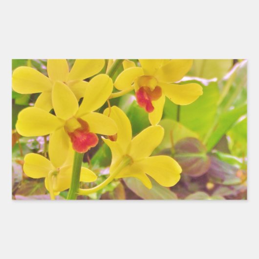 Mooie gele herfstorchideeën rechthoekige sticker (Voorkant)