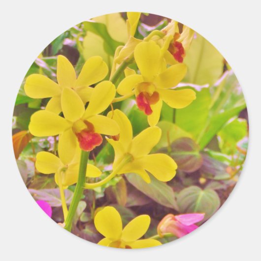 Mooie gele herfstorchideeën ronde sticker (Voorkant)