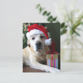 Mooie gele labrador kerstman feestdagenkaart (Staand voorkant)