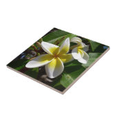 Mooie gele pellerbloem tegeltje (Zijkant)