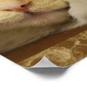 Mooie Gele Poster van een Kittens (Hoek)