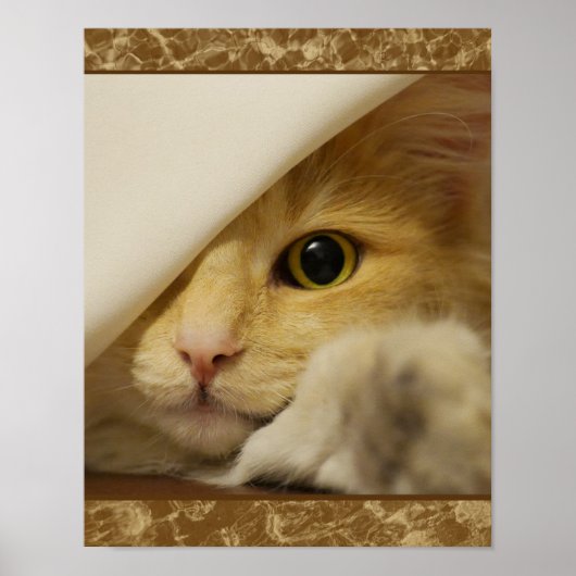Mooie Gele Poster van een Kittens (Voorkant)