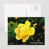 Mooie gele Rose Feestdagenkaart (Voorkant / Achterkant)