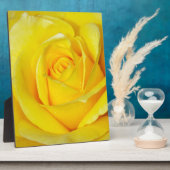 Mooie gele rozenbladen fotoplaat (Zijkant)