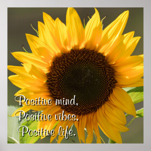 Mooie Gele Zonnebloem onder het Afbeelding van de Poster