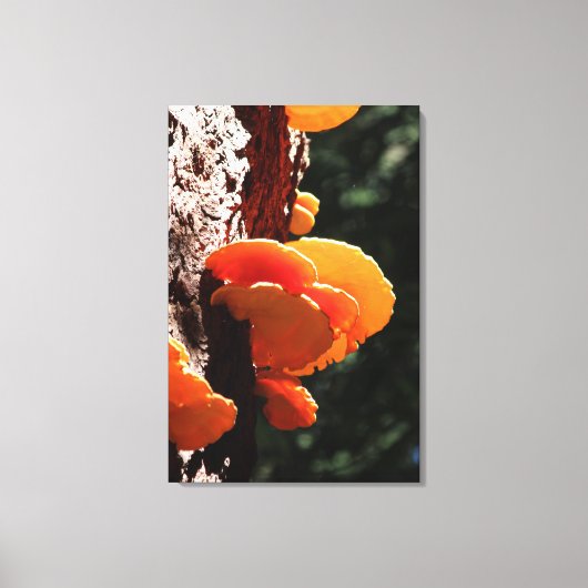 Mooie gele zwavel plank schimmel canvas Print (Voorkant)