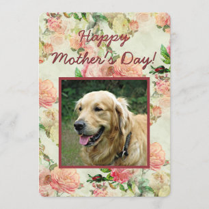 Mooie gelukkige Moeder- of Vaderdag-hond fotokaart Feestdagenkaart