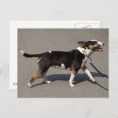 Mooie getitreerde Bullanger Briefkaart (Voorkant / Achterkant)