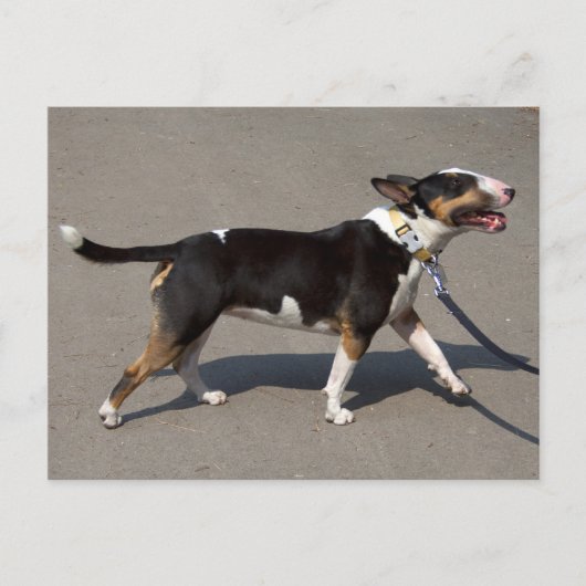 Mooie getitreerde Bullanger Briefkaart (Voorkant)