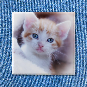 Mooie Gezinskat Vierkante Foto Button 5,1 Cm