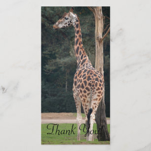 Mooie Giraffe Bedankkaart