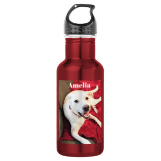 Mooie glimlachende hond foto grappig rood en wit waterfles 