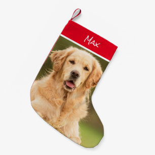 Mooie Golden Retriever Stocking Kleine Kerstsok
