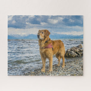 Mooie Goud Retriever Hond Strand Foto Legpuzzel