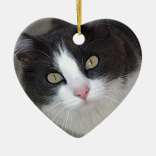 Mooie grijze en witte kat keramisch ornament
