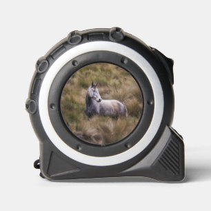 Mooie grijze gekleurde paard rolmaat